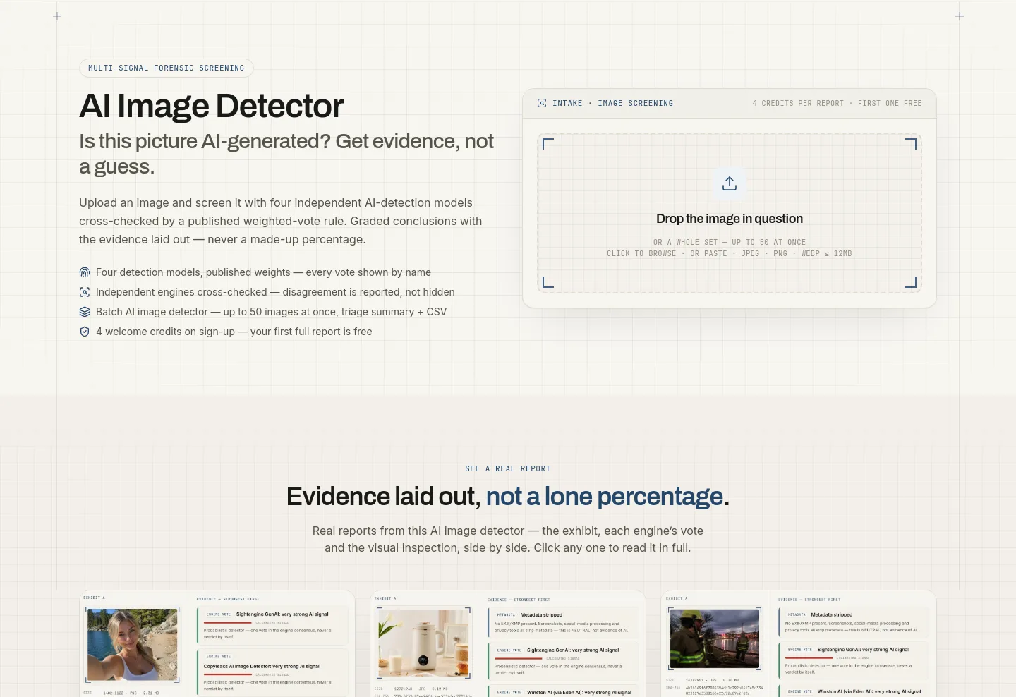 aiimagedetector.info — Hero