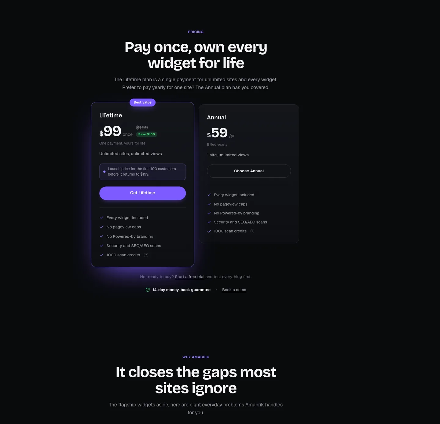 amabrik.com Pricing section