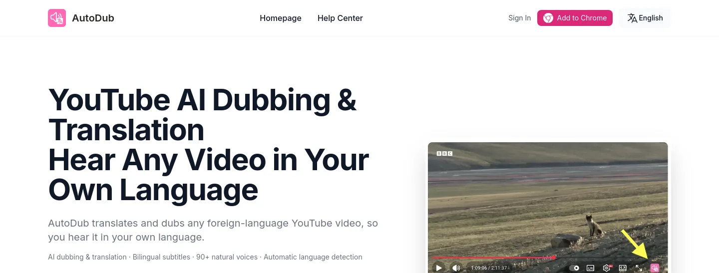 autodub.net