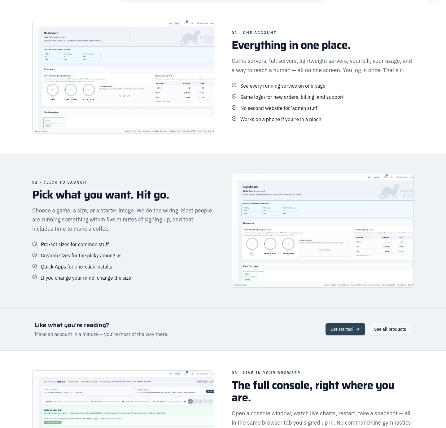 ferrix.systems Features section