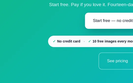 No credit card element from imageseo.io