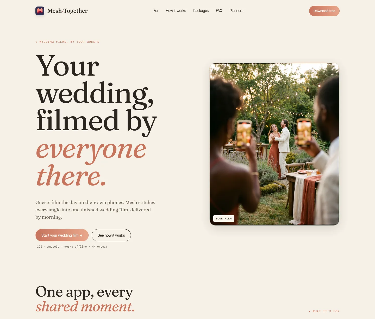 meshtogether.app — Hero + Pricing