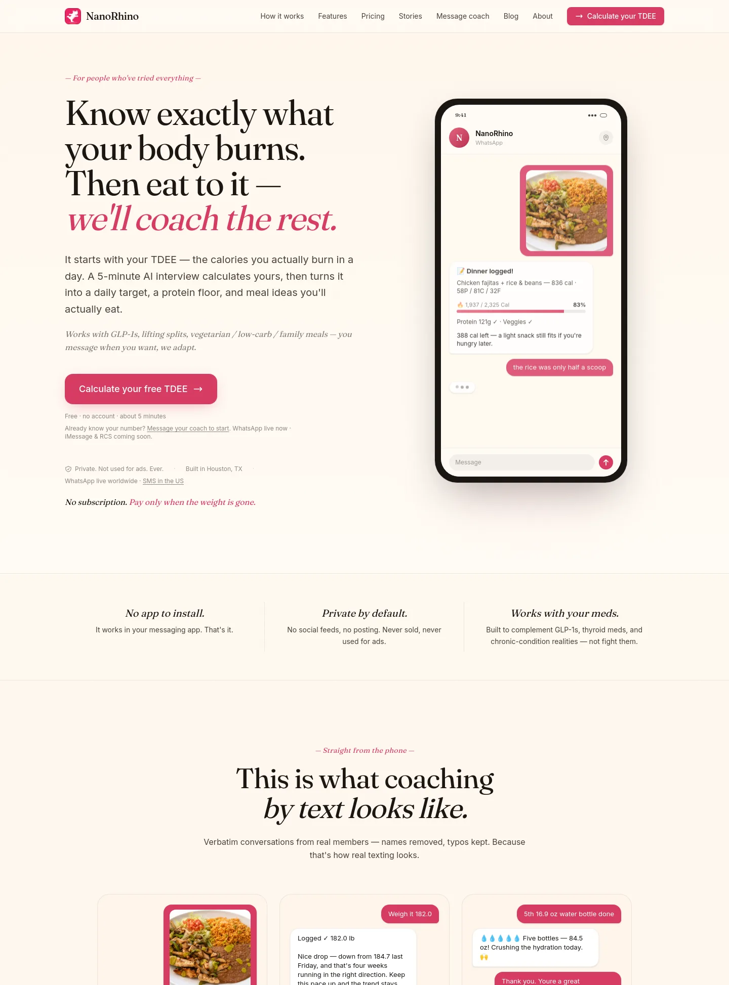 nanorhino.com