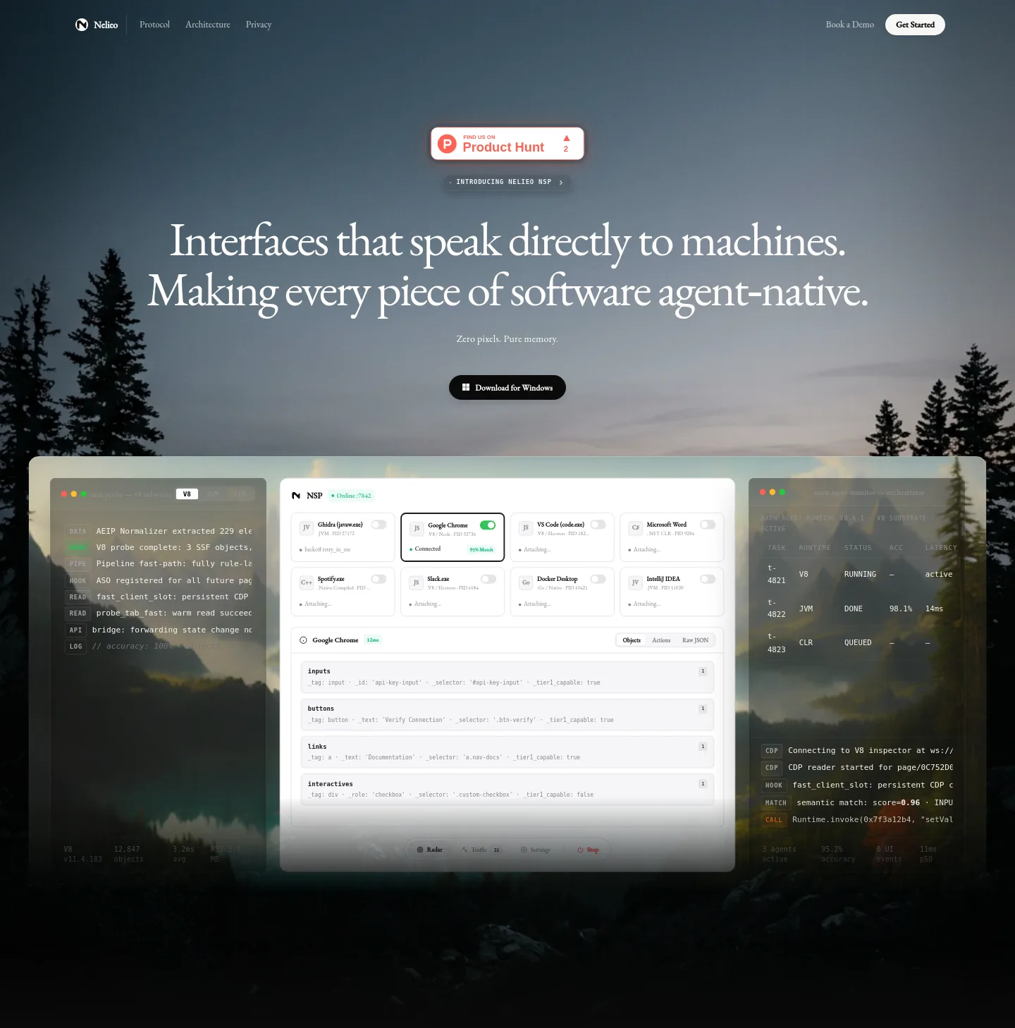 nelieo.com — Hero