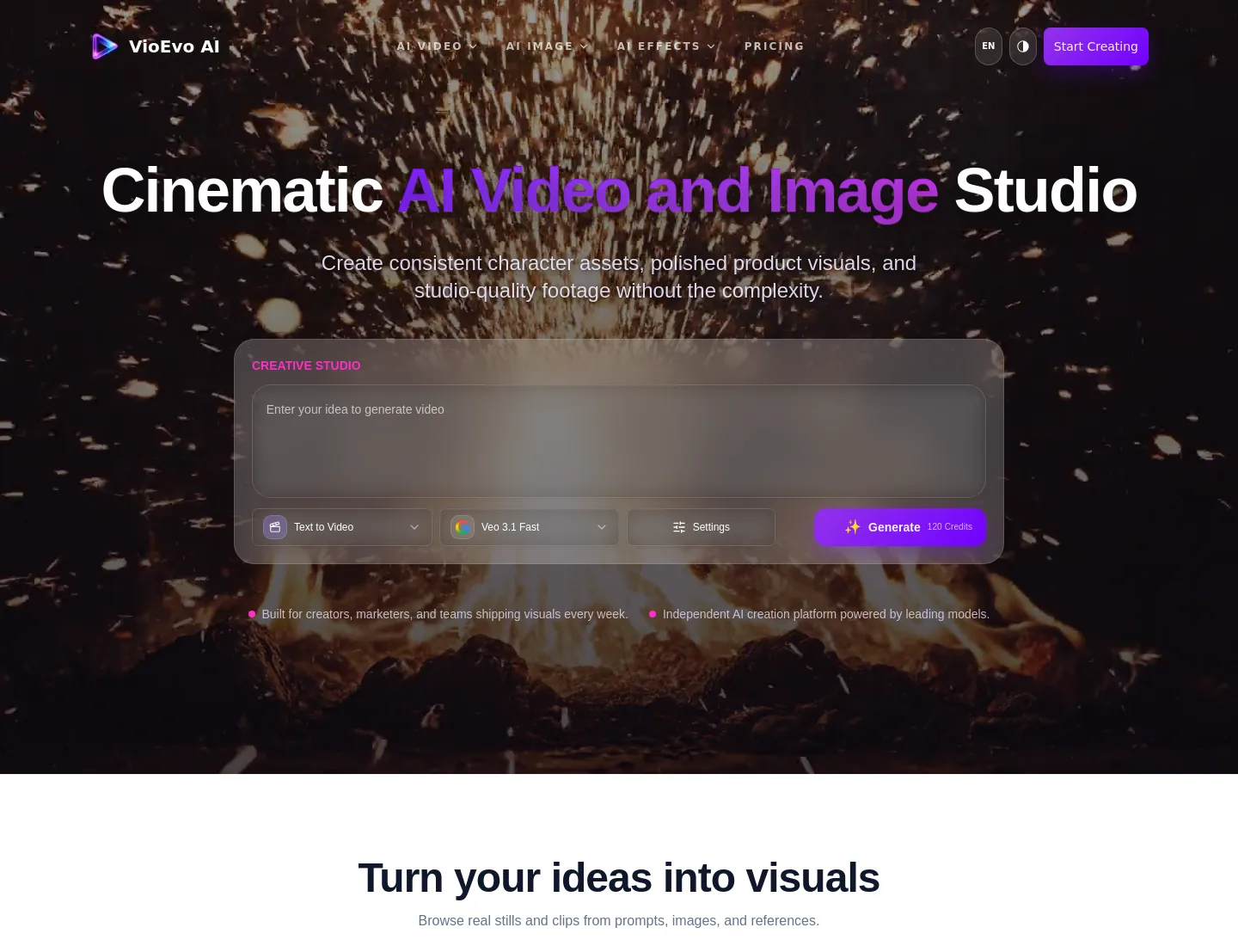 vioevo.com — Hero
