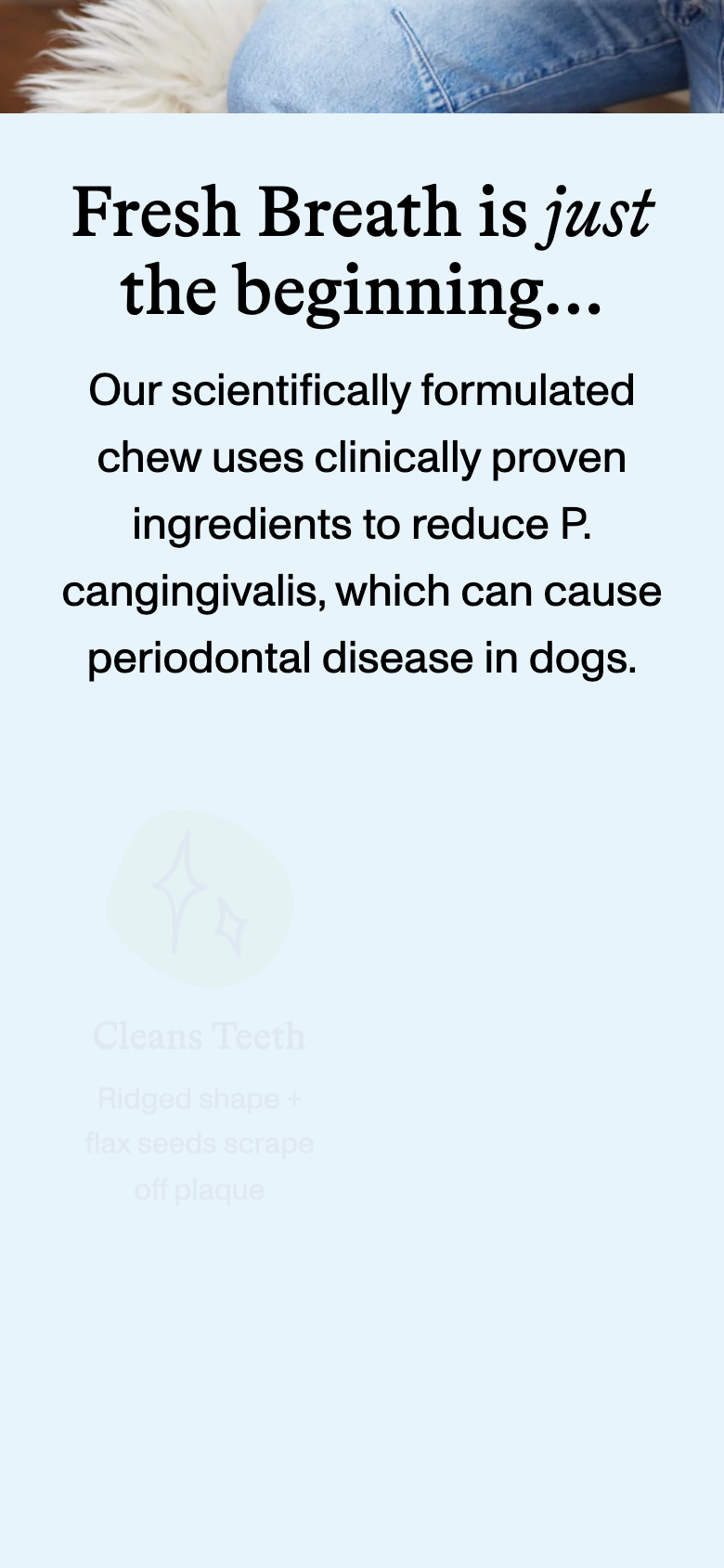 Product page (Medium Dogs)